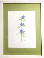 Watercolored Flowers in White Gallery Larson Frame