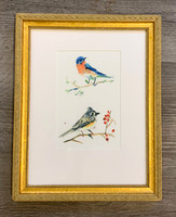 Birdlife Study, matted in Gold Ridgeview Frame