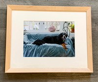 Colored Image in Pine Woodlands Frame