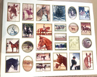 Multi sectional Mat Cutout for Image Collections